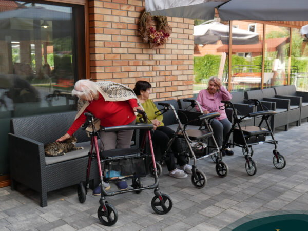 dom opieki – prywatny czy publiczny?